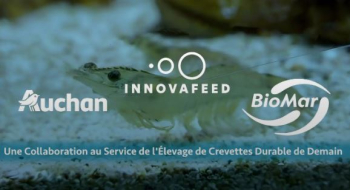 innovafeed